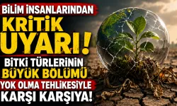 Bilim İnsanlarından Kritik Uyarı! Bitki Türlerinin Büyük Bölümü Yok Olma Tehlikesiyle Karşı Karşıya
