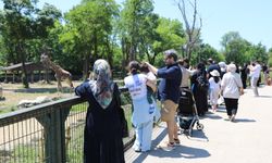 Bursa Hayvanat Bahçesi Bayramda Ziyaretçi Akınına Uğradı