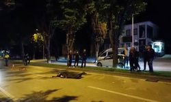 Bursa'da abi kardeş 4 yıl sonra benzer kazada hayatını kaybetti...