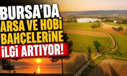 Bursa’da Arsa ve Hobi Bahçelerine İlgi Artıyor