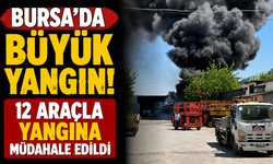Bursa'da büyük yangın! 12 araçla yangına müdahale edildi