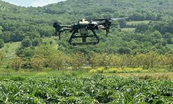 Bursa'da çiftçiye drone desteği!