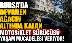 Bursa'da devrilen Ağacın Altında Kalan Motosiklet Sürücüsü Yaşam Mücadelesi Veriyor!