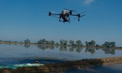 Bursa'da dron ile çeltik ekimi