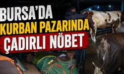Bursa’da kurban pazarında çadırlı nöbet