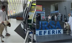 Bursa’da Kurbanlık Koça Teleferik Gezisi