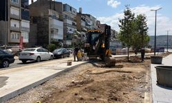 Bursa'da sahil çalışmaları tüm hızıyla sürüyor!
