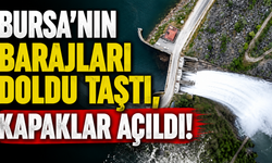 Bursa'nın barajları doldu taştı, kapaklar açıldı!