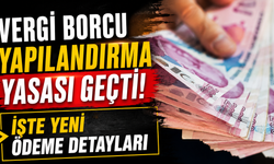 Vergi Borcu Yapılandırma Yasası Geçti! İşte Yeni Ödeme Detayları