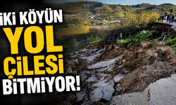 İki Köyün Yol Çilesi Bitmiyor! Heyelan Sonrası Yol 1 Aydır Kapalı