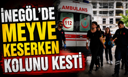 İnegöl’de Meyve Keserken Kolunu Kesti