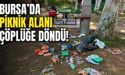 Bursa'da Piknik Alanı Çöplüğe Döndü! Geride Kalan Manzara Tepki Çekti