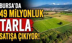 Bursa’da 49 Milyonluk Tarla Satışa Çıkıyor!