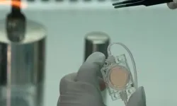 Çin’den Dikkat Çeken Uzay Deneyi! Yapay İnsan Embriyoları Uzaya Gönderildi