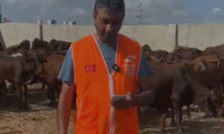 İnegöl’ün 59 Şehidi İçin Somali’de Kurban Kesilecek