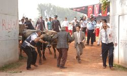 İnegöl'de 19 Mayıs Kutlamalarında Kaçan Boğa Paniği