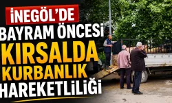 İnegöl’de Bayram Öncesi Kırsalda Kurbanlık Hareketliliği