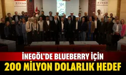İnegöl’de blueberry için 200 milyon dolarlık hedef