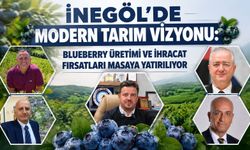 İnegöl'de Modern Tarım Vizyonu: Blueberry Üretimi ve İhracat Fırsatları Masaya Yatırılıyor