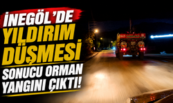 İnegöl’de Yıldırım Düşmesi Sonucu Orman Yangını Çıktı!