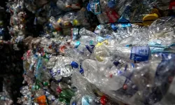 Kendi Kendini Yok Eden Yeni Nesil Plastik Geliştirildi! Günler İçinde Ortadan Kayboluyor