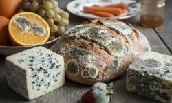 Küflü Yiyecekleri Kesip Yemek Güvenli mi? Uzmanlar Riskli Gıdaları Açıkladı