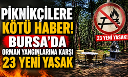 Piknikçilere Kötü Haber! Bursa'da Orman Yangınlarına Karşı 23 Yeni Yasak