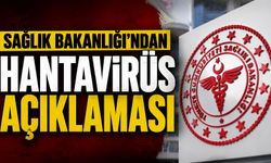 Sağlık Bakanlığı'ndan Hantavirüs Açıklaması
