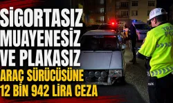Sigortasız, muayenesiz ve plakasız araç sürücüsüne 12 bin 942 lira ceza