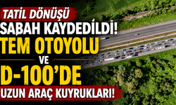 Tatil dönüşü sabah kaydedildi! TEM Otoyolu ve D-100'de uzun araç kuyrukları!