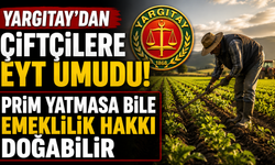 Yargıtay’dan Çiftçilere EYT Umudu! Prim Yatmasa Bile Emeklilik Hakkı Doğabilir