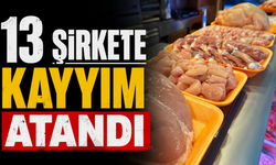 13 şirkete kayyım atandı!