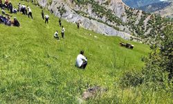Traktörün altında kalan sürücü hayatını kaybetti