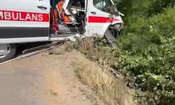 Hasta Taşıyan Ambulans Kontrolden Çıktı