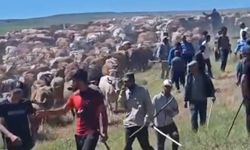 Muş’ta iki köy arasında 'arazi' kavgası