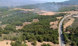 Muğla’daki Orman Yangını Kontrol Altına Alındı