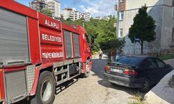 Alev topuna dönen piknik tüpü korkuttu!