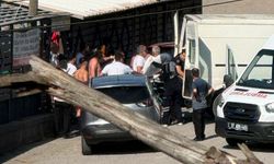 Arkadaşlarıyla girdiği deniz sonu oldu