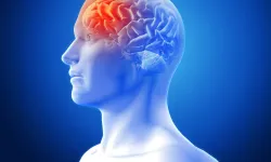 Bilim İnsanları Açıkladı! Meditasyonun Beyin Üzerindeki 4 Şaşırtıcı Etkisi