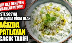 Bir Kez Deneyen Vazgeçemiyor! İşte Sosyal Medyada Viral Olan Ağızda Patlayan Cacık Tarifi