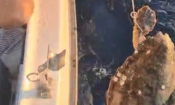 Böyle vicdansızlık görülmedi