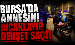 Bursa'da annesini bıçaklayıp dehşet saçtı
