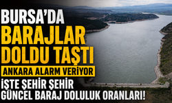 Bursa'da Barajlar Doldu Taştı Ankara Alarm Veriyor İşte Şehir Şehir Güncel Baraj Doluluk Oranları!
