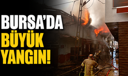 Bursa'da büyük yangın!