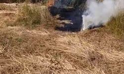 Bursa'da elektrik telleri yangına sebep oldu!