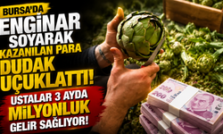 Bursa’da enginar soyarak kazanılan para dudak uçuklattı! Ustalar 3 ayda milyonluk gelir sağlıyor.