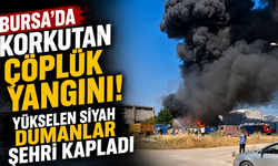Bursa'da korkutan çöplük yangını! Yükselen Siyah Dumanlar Şehri Kapladı