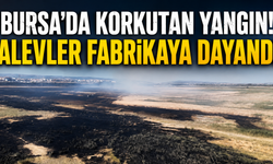 Bursa'da Korkutan Yangın! Alevler Fabrikaya Dayandı