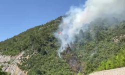 Bursa'da ormanlık alanda yangın