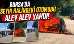 Bursa’da Kestel'de otomobil alevlere teslim oldu